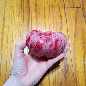 Never Used Tomato Candle